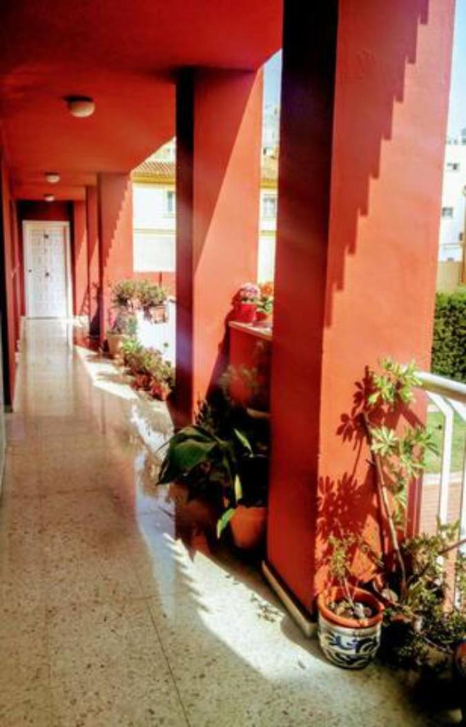 Bolivia Beach Apartments Málaga Eksteriør billede